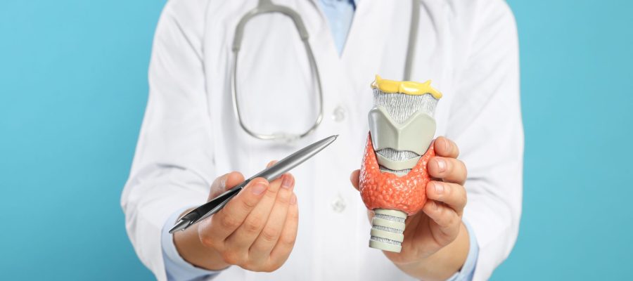 Como e Quando Visitar um Endocrinologista Guia Completo