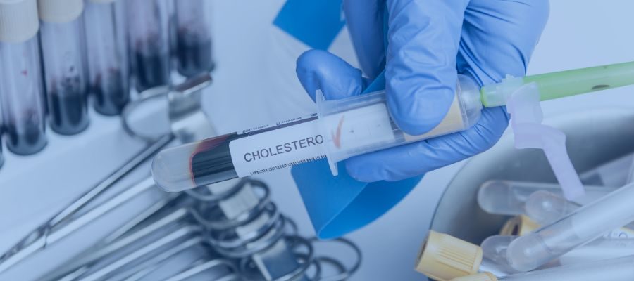 Dislipidemia Dra Luciana Menta Endocrinologista