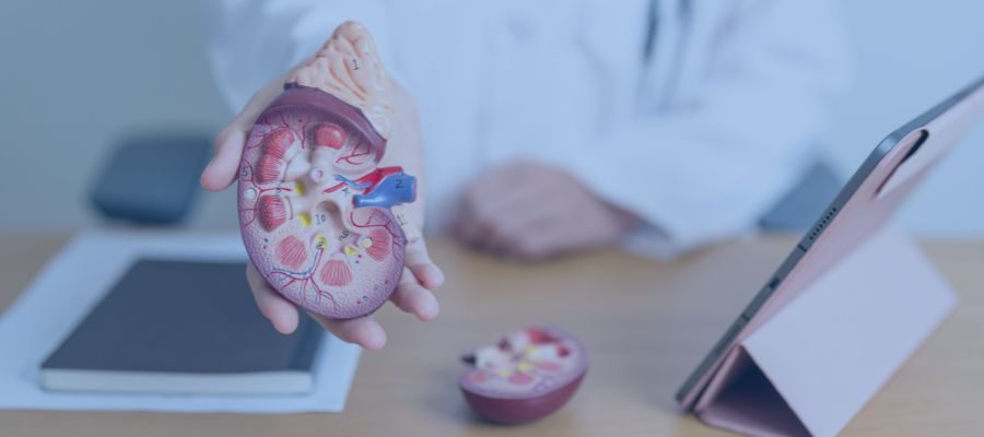 Nódulos Adrenais não funcionantes- Dra. Luciana Menta Endocrinologista.
